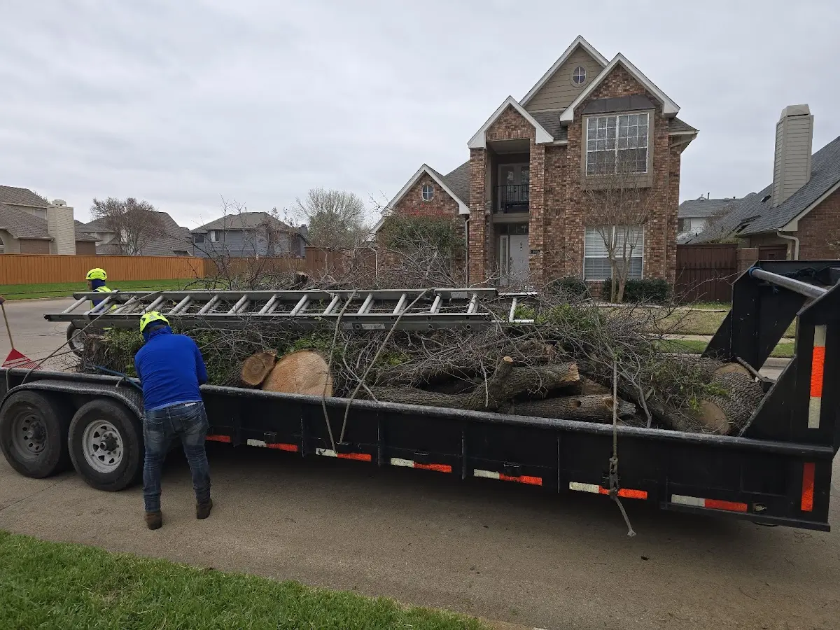 Expert Tree Fertilization with proper safety equipment in San Augustine